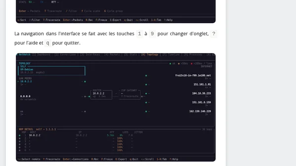 Surveiller et analyser son trafic réseau depuis le terminal avec Netwatch