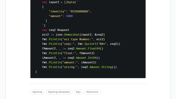 [Golang] Multiple Type In Struct
