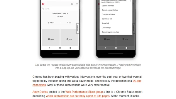 Making Sense of Chrome Lite Pages