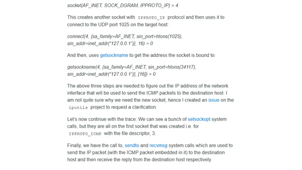How does ping roughly work over IPv4 on Linux?