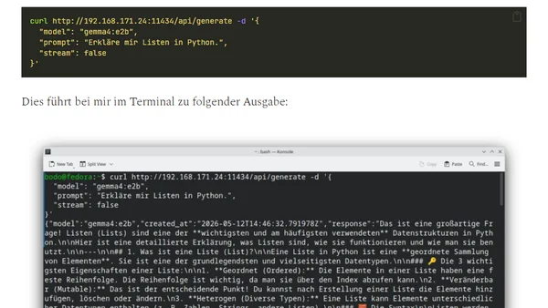 Zugriff auf Ollama über das Netzwerk