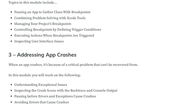 iOS Debugging Fundamentals